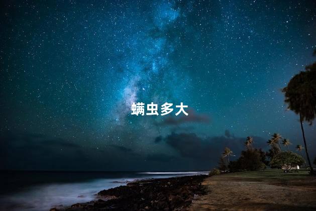 螨虫多大 螨虫多大