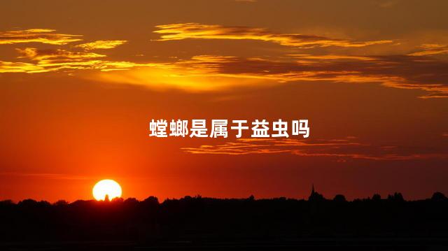 螳螂是属于益虫吗 螳螂是属于益虫吗