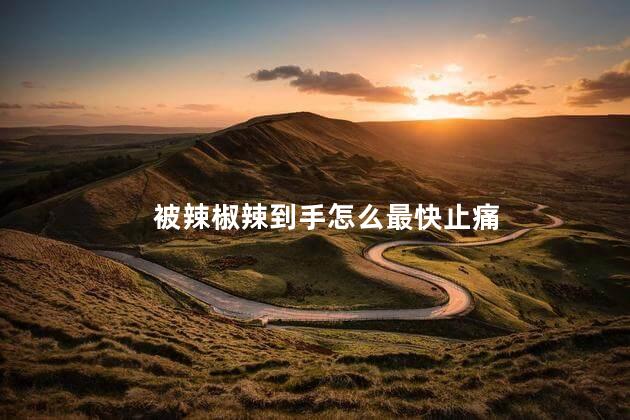 被辣椒辣到手怎么最快止痛 被辣椒辣到手怎么最快止痛