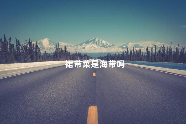 裙带菜是海带吗 裙带菜是海带吗