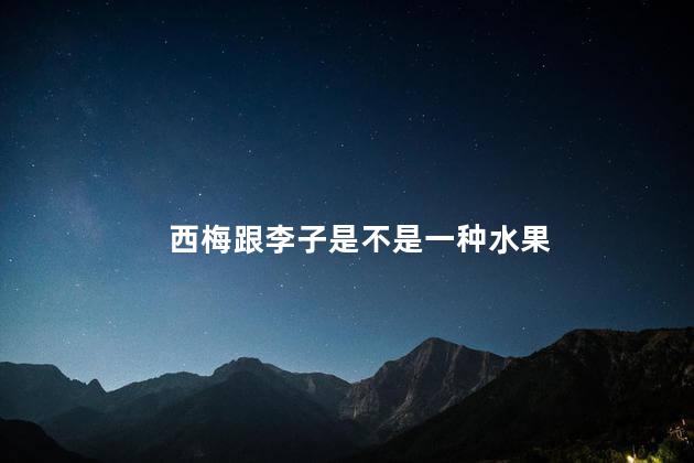 西梅跟李子是不是一种水果