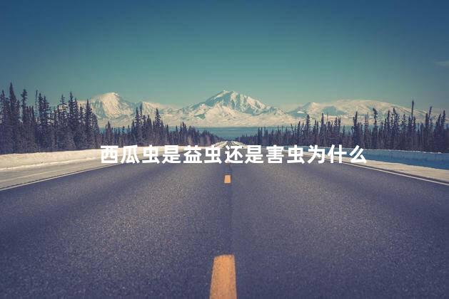 西瓜虫是益虫还是害虫为什么 西瓜虫是益虫还是害虫为什么