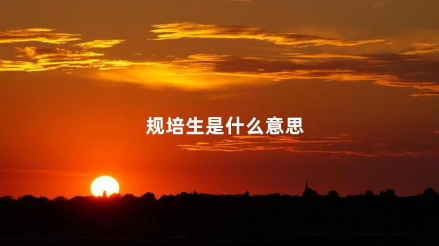 规培生是什么意思 规培生是什么意思
