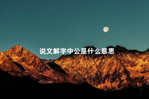 说文解字中公是什么意思