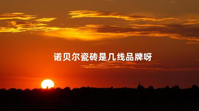 诺贝尔瓷砖是几线品牌呀 诺贝尔瓷砖是几线品牌呀