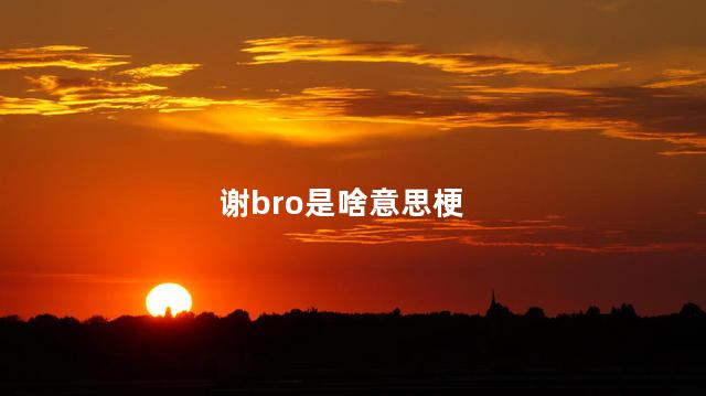 谢bro是啥意思梗