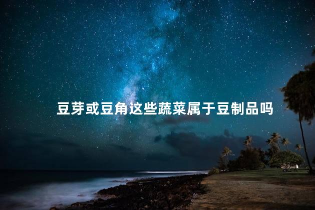 豆芽或豆角这些蔬菜属于豆制品吗 豆芽或豆角这些蔬菜属于豆制品吗