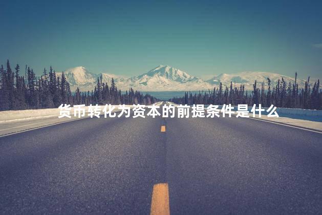 货币转化为资本的前提条件是什么