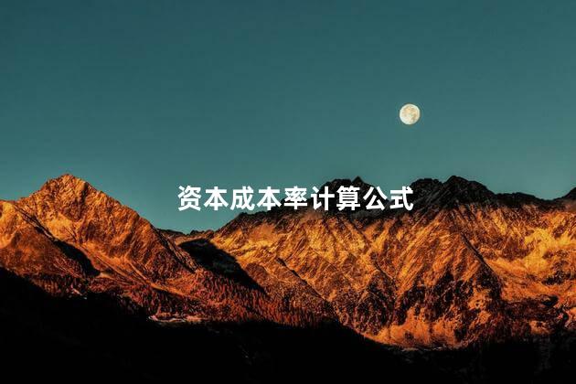 资本成本率计算公式 资本成本率计算公式