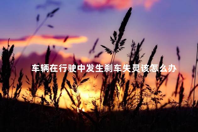 车辆在行驶中发生刹车失灵该怎么办