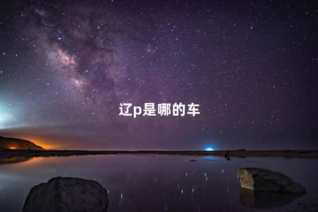 辽p是哪的车