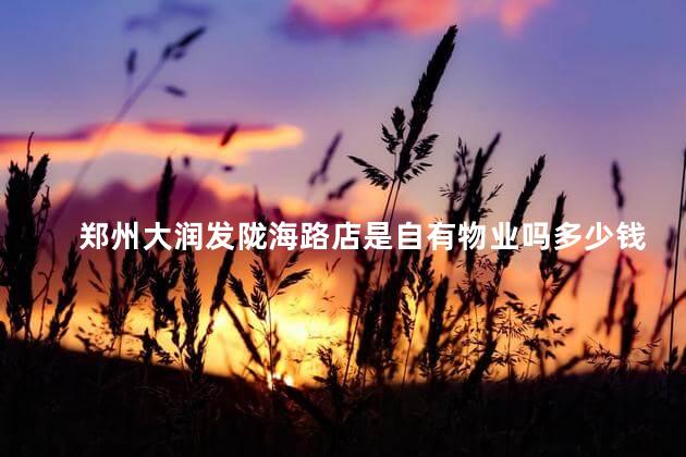 郑州大润发陇海路店是自有物业吗多少钱