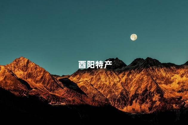 酉阳特产 酉阳特产