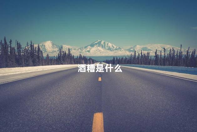 酒糟是什么 酒糟是什么