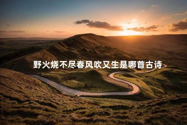 野火烧不尽春风吹又生是哪首古诗