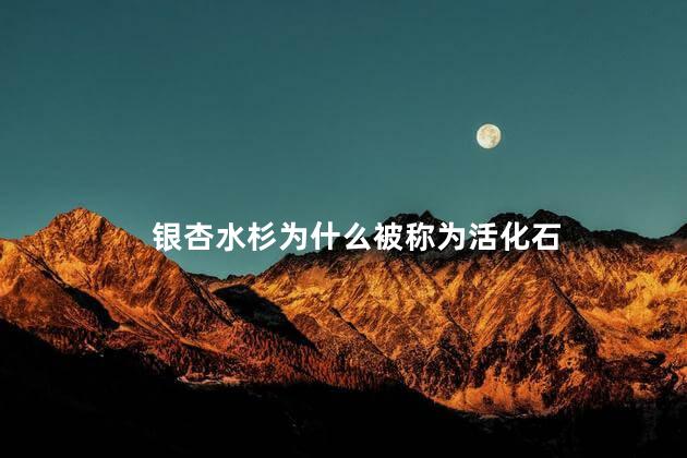银杏水杉为什么被称为活化石