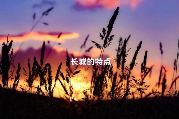 长城的特点 长城的特点