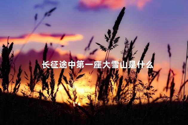 长征途中第一座大雪山是什么 长征途中第一座大雪山是什么