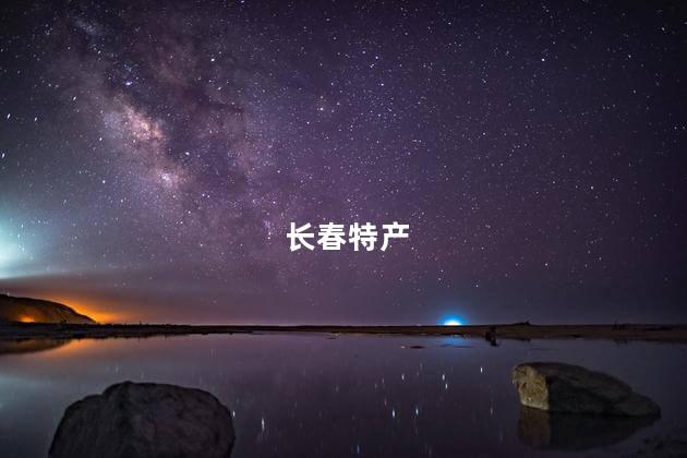 长春特产 长春特产