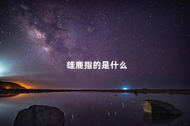 雄鹿指的是什么 雄鹿指的是什么
