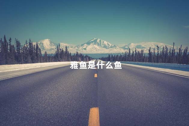 雅鱼是什么鱼