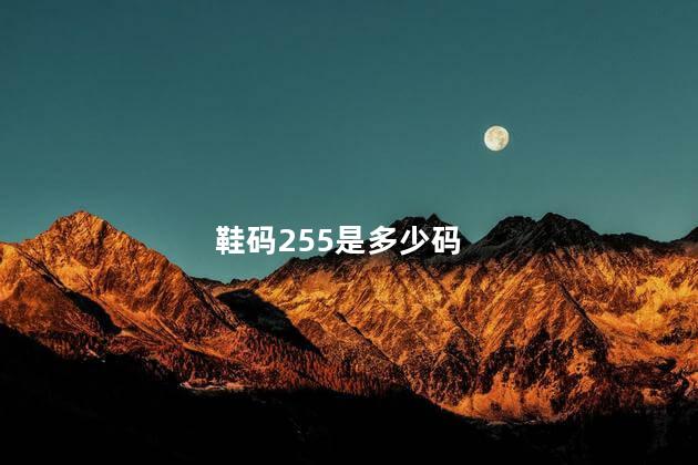 鞋码255是多少码 鞋码255是多少码