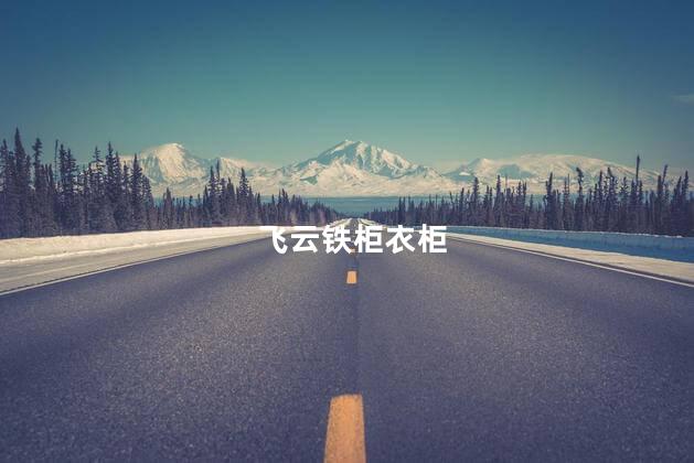 飞云铁柜衣柜