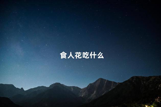 食人花吃什么 食人花吃什么