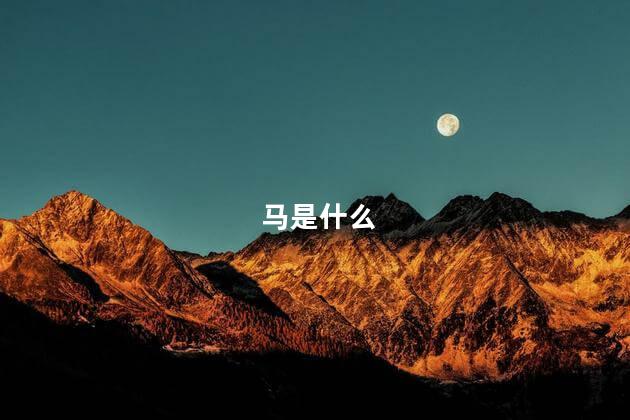 马是什么