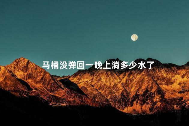 马桶没弹回一晚上淌多少水了