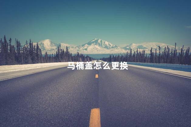 马桶盖怎么更换