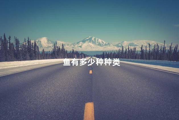鱼有多少种种类