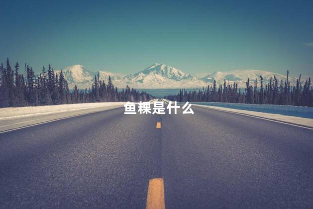 鱼粿是什么