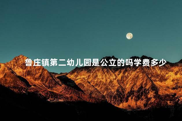 鲁庄镇第二幼儿园是公立的吗学费多少