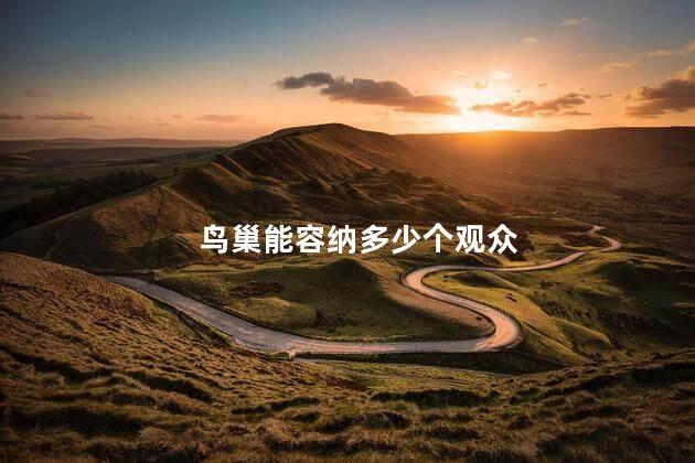 鸟巢能容纳多少个观众 鸟巢能容纳多少个观众