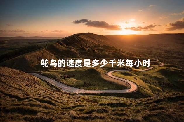 鸵鸟的速度是多少千米每小时 鸵鸟的速度是多少千米每小时