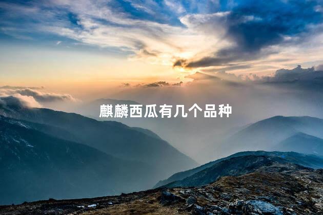 麒麟西瓜有几个品种 麒麟西瓜有几个品种