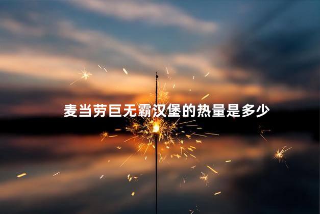 麦当劳巨无霸汉堡的热量是多少 麦当劳巨无霸汉堡的热量是多少
