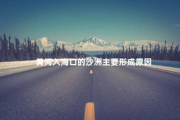 黄河入海口的沙洲主要形成原因 黄河入海口的沙洲主要形成原因