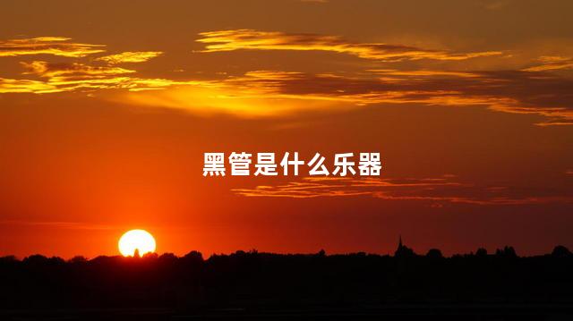 黑管是什么乐器 黑管是什么乐器