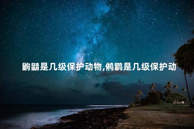 鼩鼱是几级保护动物