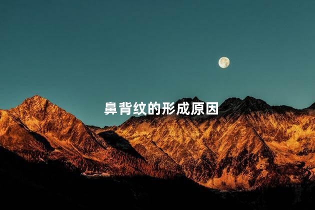 鼻背纹的形成原因 鼻背纹的形成原因